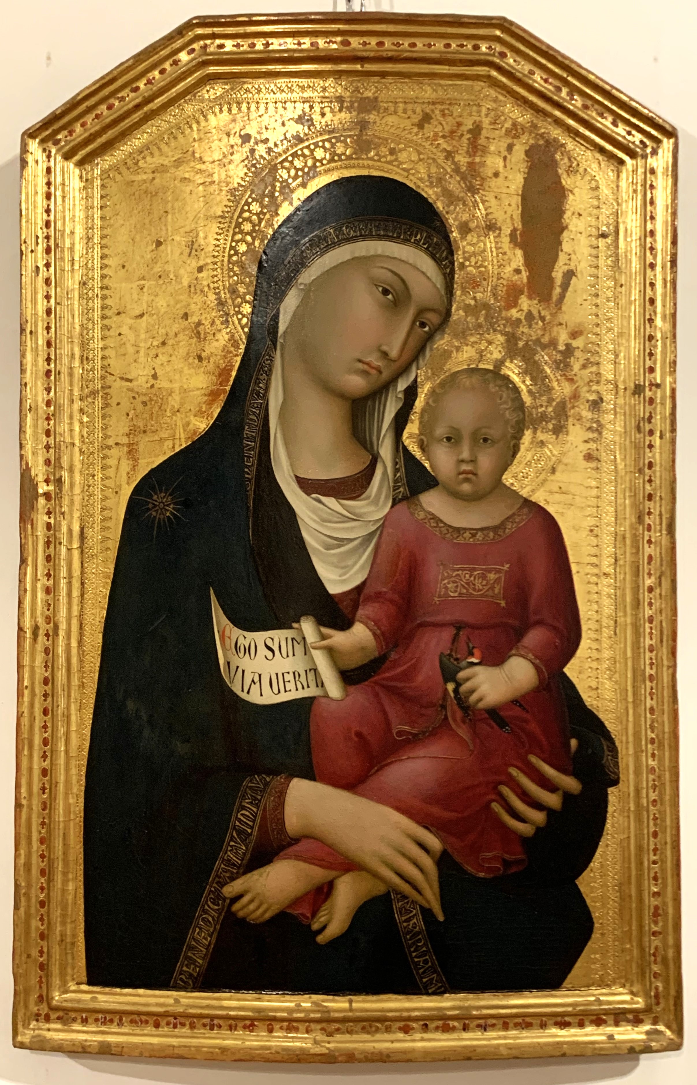 Siena